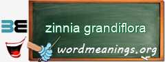 WordMeaning blackboard for zinnia grandiflora